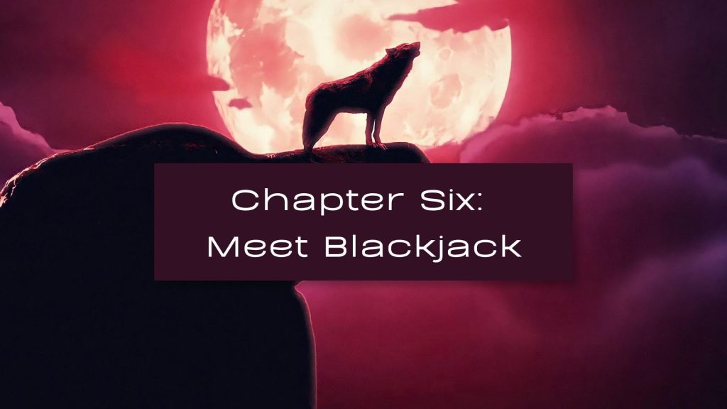 An image of a red moon and red sky, with a red wolf standing on a cliff howling. The text reads Chapter Six Meet Blackjack